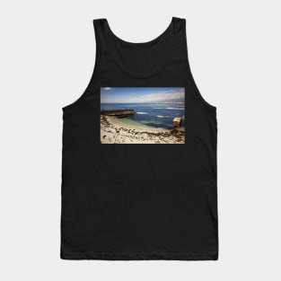 California Sea Lions at the Beach Tank Top